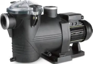 Portland Pool Pump from Splash Pool Supplies